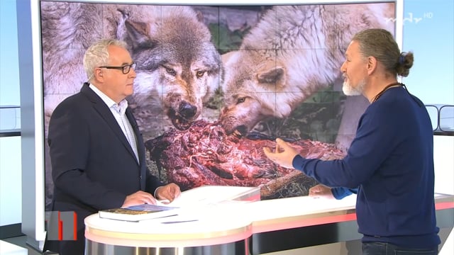 MDR um 11 - Mario Goldstein “Sehnsucht Wildnis”